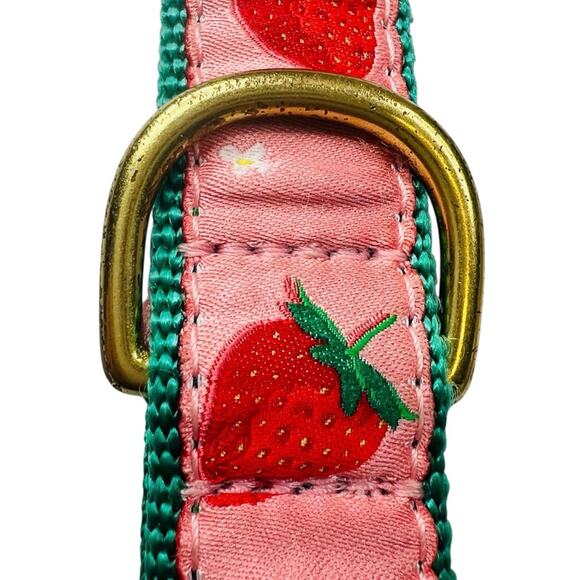 Up Country Strawberry Fields Dog Medium Collar Matching Lead Leash 2PC Set USA - Picture 9 of 14